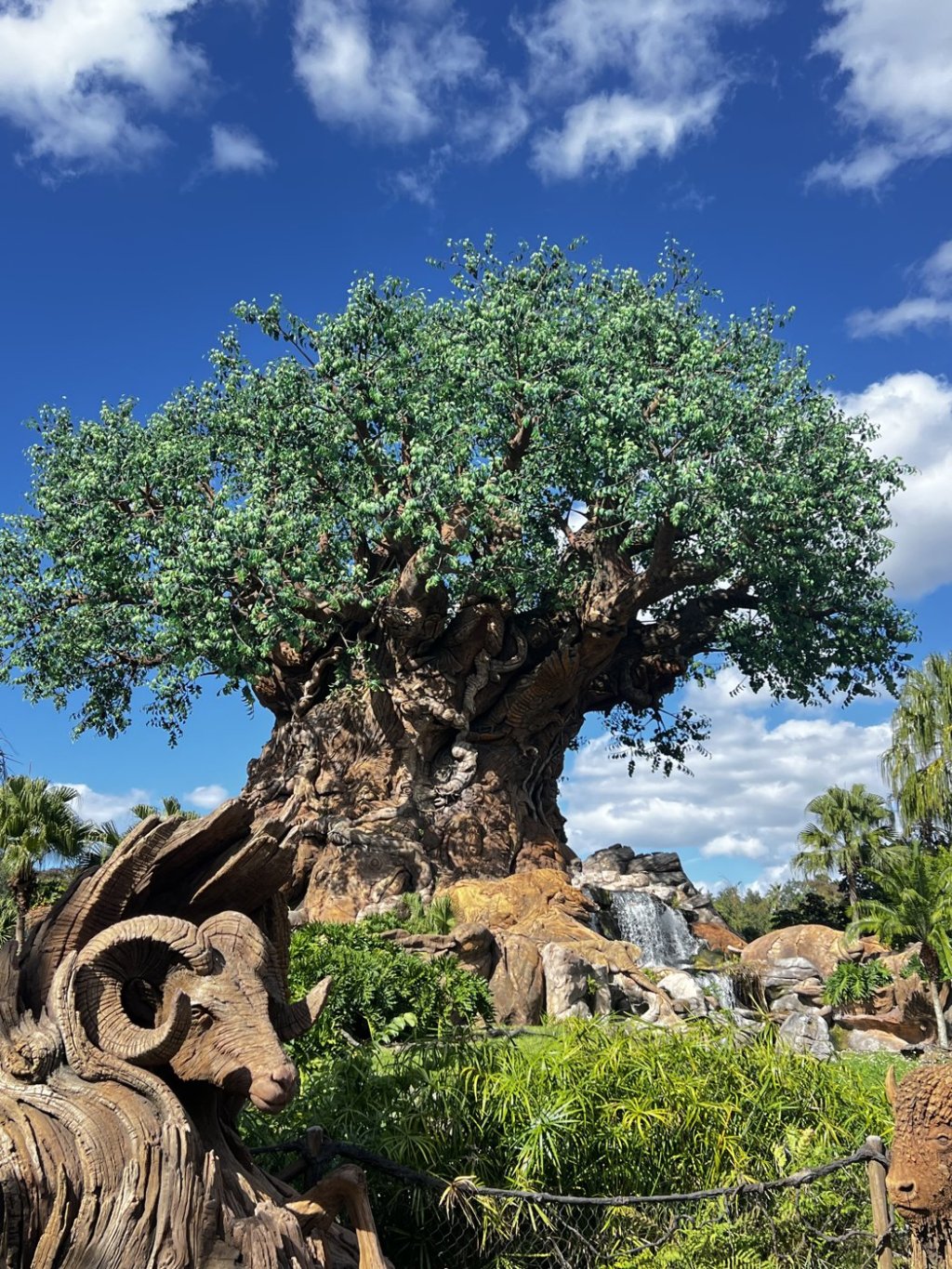 Árvore da Vida, símbolo do Animal Kingdom, em dia de céu azul